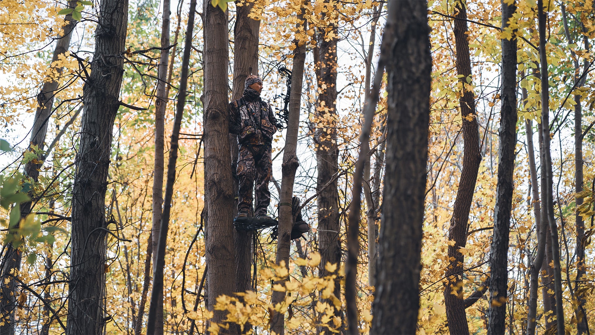 Late Seezyn Whitetail Kit