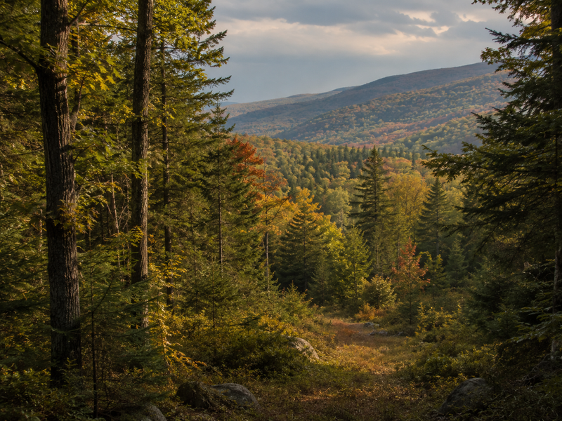 Northeast hunting terrain