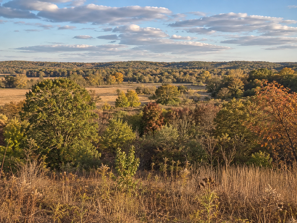 Mixed transition hunting cover