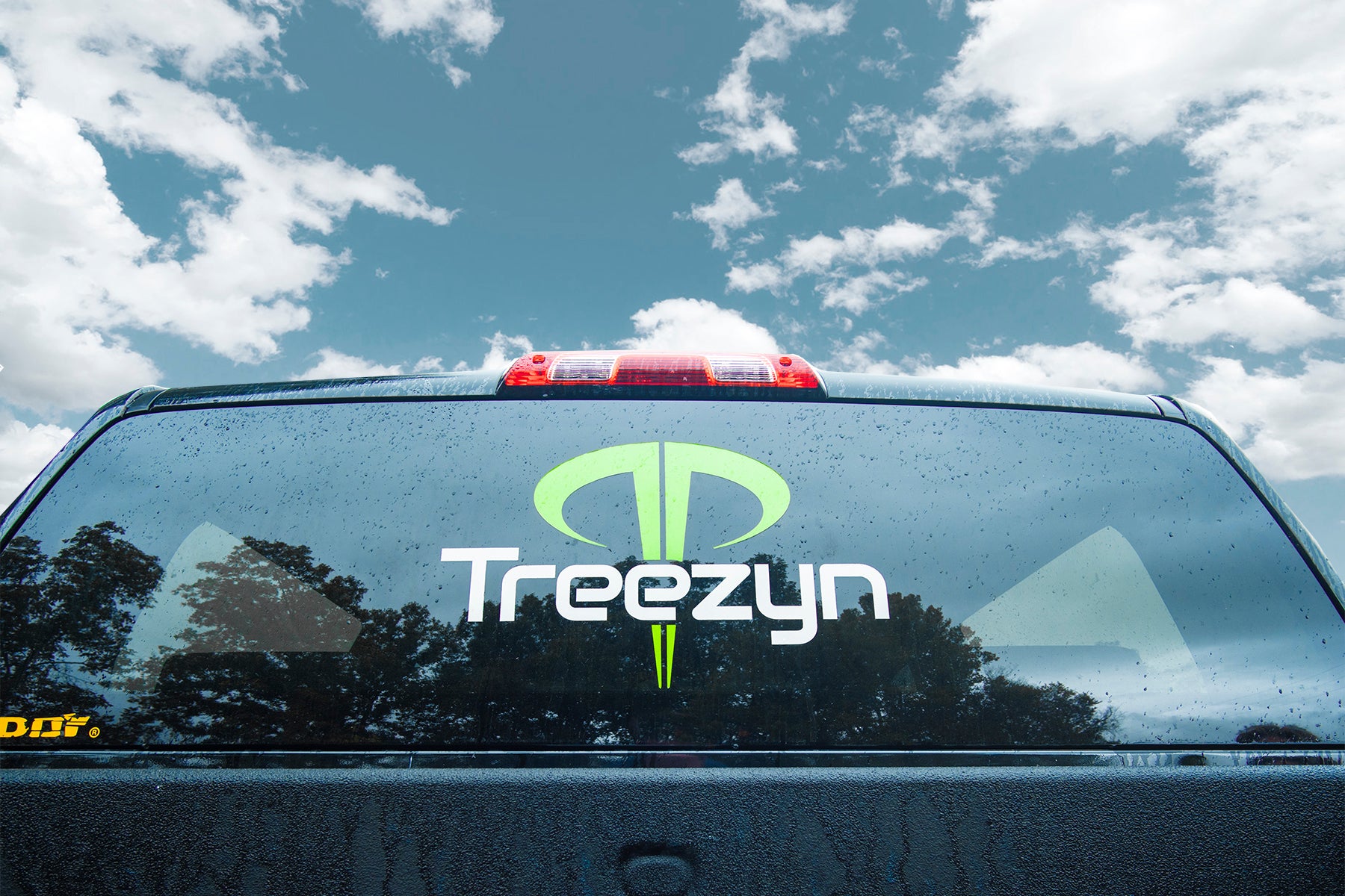 Treezyn Vinyl Decal
